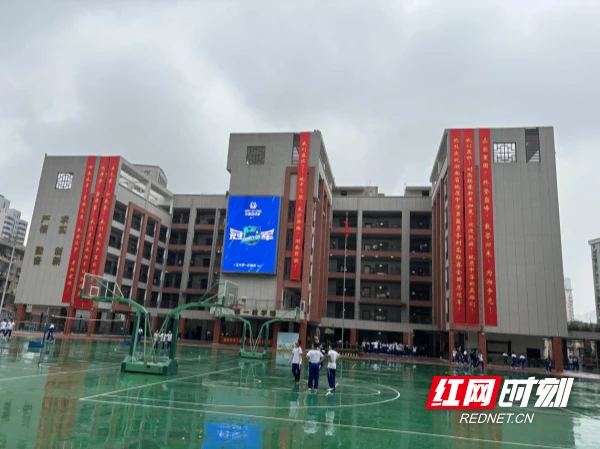 如何通过反馈分析提升篮球战术意识_1